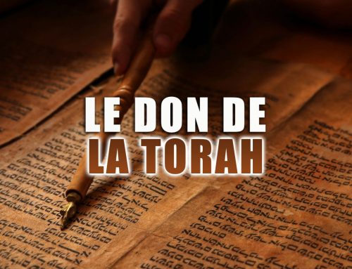 Le don de la Torah