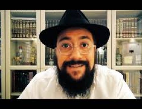 LE RABBI DE LOUBAVITCH 20 – Il n’est jamais trop tard – RABBI MENAHEM MENDEL SCHNEERSON