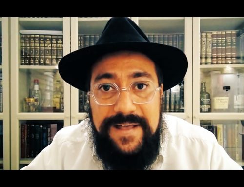 LE RABBI DE LOUBAVITCH 21- La bonne jalousie – RABBI MENAHEM MENDEL SCHNEERSON