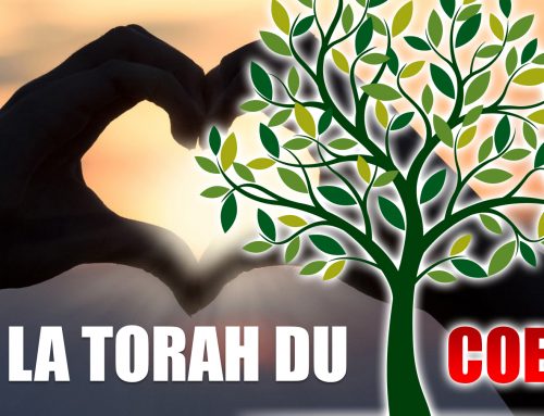 Tou Bechvat, la Torah du coeur