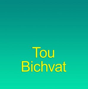 Nouvel an des arbres