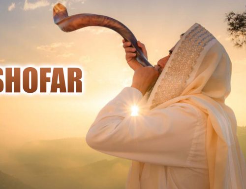 Shofar