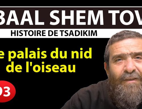 HISTOIRE DE TSADIKIM 93 – BAAL SHEM TOV – Le palais du nid de l’oiseau – Rav Avi Assouline