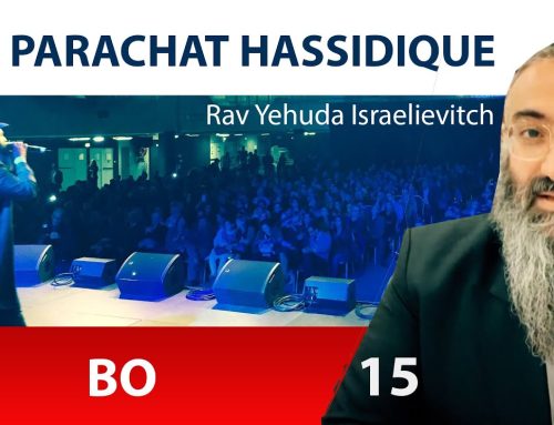 LA PARACHAT HASSIDIQUE – BO 15 – Rav Yehuda Israelievitch