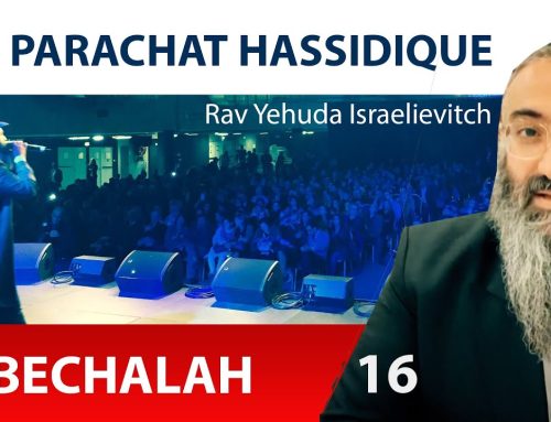 LA PARACHAT HASSIDIQUE – BECHALAH 16 – Rav Yehuda Israelievitch