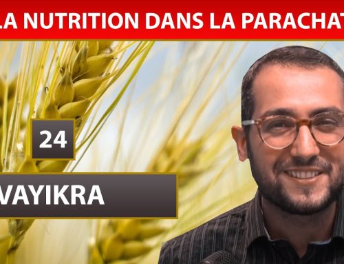 NUTRITION DANS LA PARACHAT – VAYIKRA 24 – Shalom Fitoussi