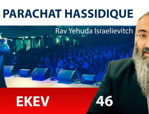 LA PARACHAT HASSIDIQUE – EKEV 46 – Rav Yehuda Israelievitch