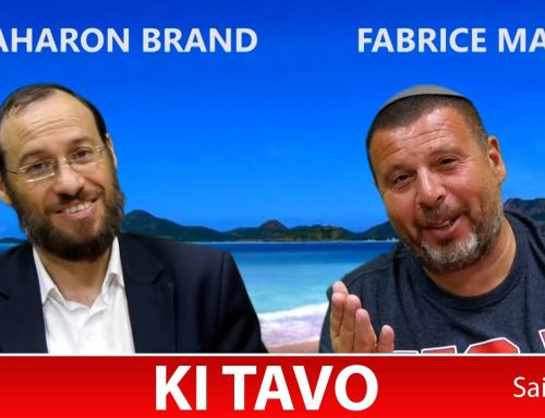 Sefer Devarim : PARACHAT KI TAVO (50) avec le duo Rav Brand et Fabrice