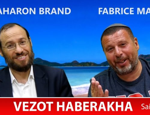 Sefer Devarim : PARACHAT VEZOT HABERAKHA (54) avec le duo Rav Brand et Fabrice