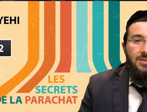 LES SECRETS DE LA PARACHAT – VAYEHI (12)