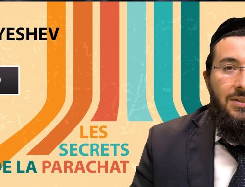 LES SECRETS DE LA PARACHAT – VAYESHEV (9)