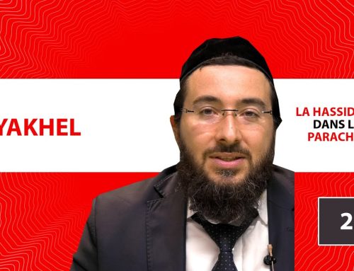 LA HASSIDOUT DANS LA PARACHAT – VAYAKHEL (22)