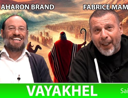 Sefer Chemot : PARACHAT VAYAKHEL (22) – Saison 4 – avec le duo Rav Brand et Fabrice