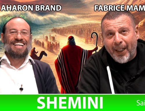 Sefer Vayikra PARACHAT SHEMINI (26) SAISON 4 – avec le duo Rav Brand et Fabrice