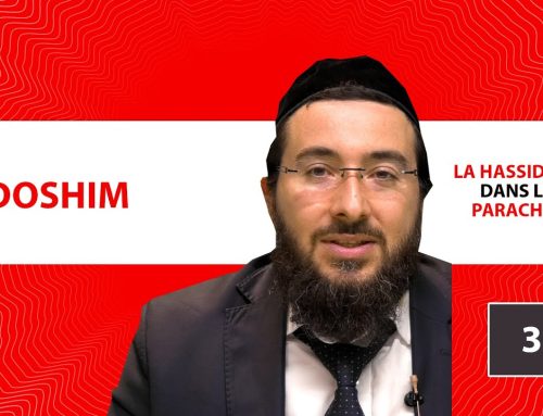LA HASSIDOUT DANS LA PARACHAT – KEDOSHIM (30)