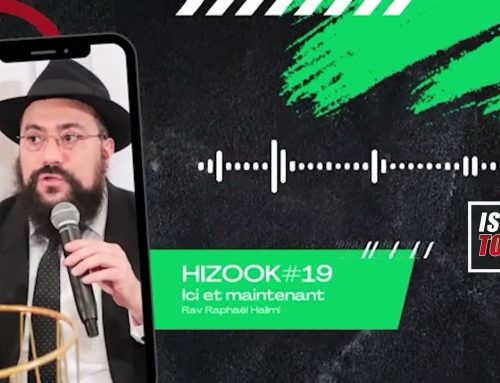 HIZOOK#19 – Ici et maintenant