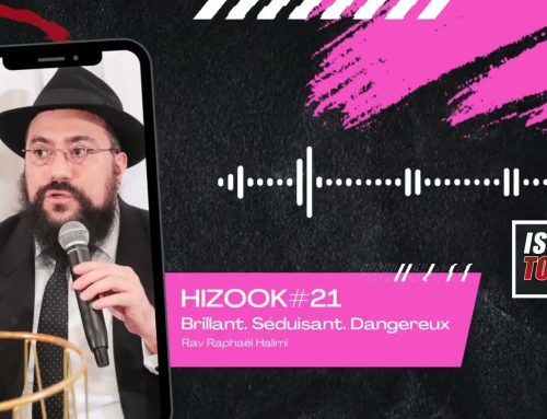 HIZOOK#21 – Brillant. Séduisant. Dangereux.