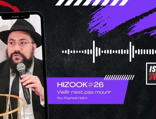 HIZOOK#26 – Mûrir n’est pas mourir