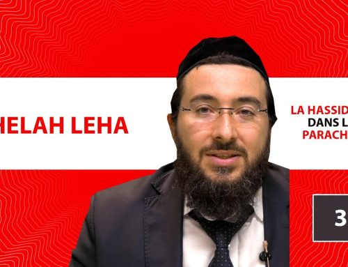 LA HASSIDOUT DANS LA PARACHAT 37   SHELAH LEHA