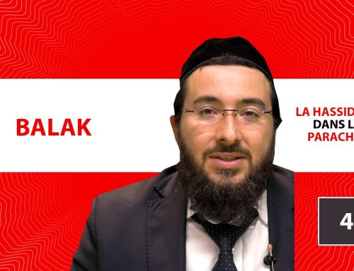 LA HASSIDOUT DANS LA PARACHAT – BALAK (40)