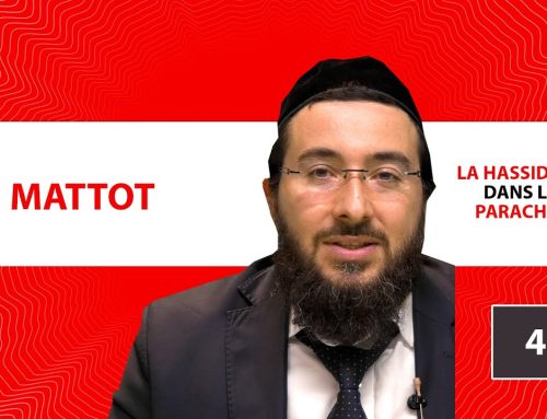 LA HASSIDOUT DANS LA PARACHAT – MATTOT (42)