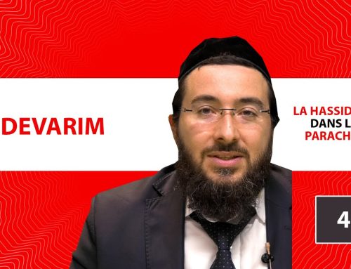 LA HASSIDOUT DANS LA PARACHAT – DEVARIM (44)