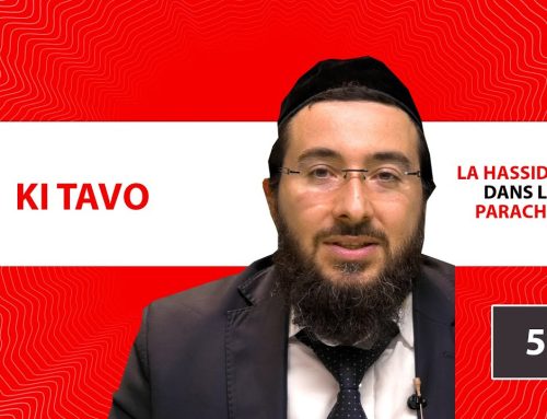 LA HASSIDOUT DANS LA PARACHAT 50 – KI TAVO