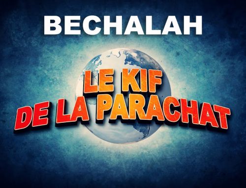 LE KIF DANS LA PARACHAT – BECHALAH (16)