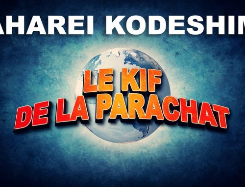 LE KIF DANS LA PARACHAT – AHAREI MOT KEDOSHIM (29 30)