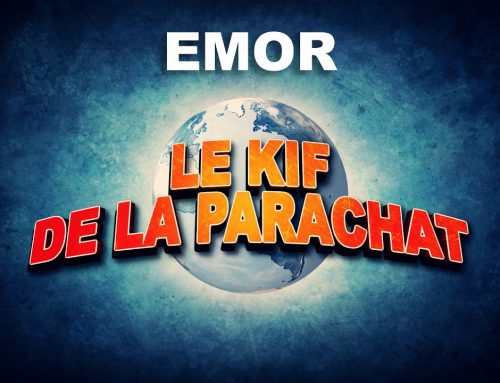LE KIF DANS LA PARACHAT – EMOR (31)