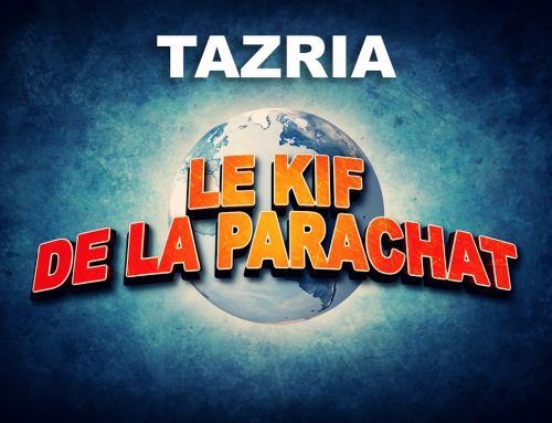 LE KIF DANS LA PARACHAT – TAZRIA (27)
