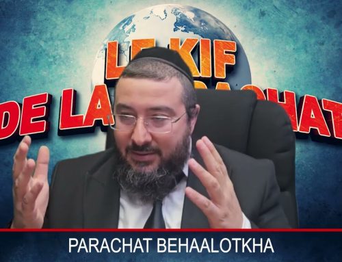 LE KIF DANS LA PARACHAT – BEHAALOTKHA (36)