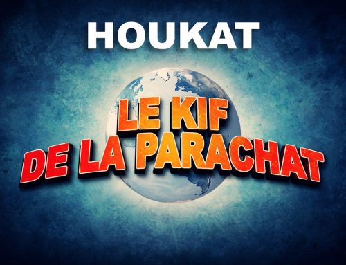 LE KIF DANS LA PARACHAT – HOUKAT (39)